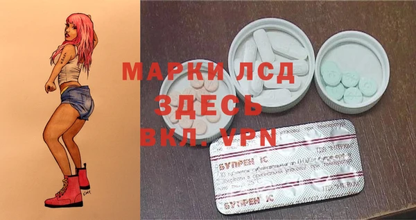 дурь Вяземский