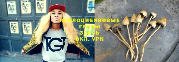 spice Горнозаводск