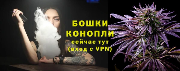 дурь Вяземский