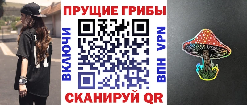 Купить где  Курчалой  Галлюциногенные грибы Cubensis 